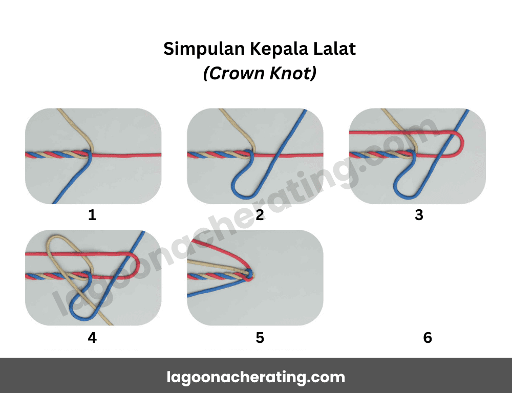 Ikatan Simpulan Asas Badan Unit Beruniform Pengakap Simpul Kepala Lalat (Crown Knot)