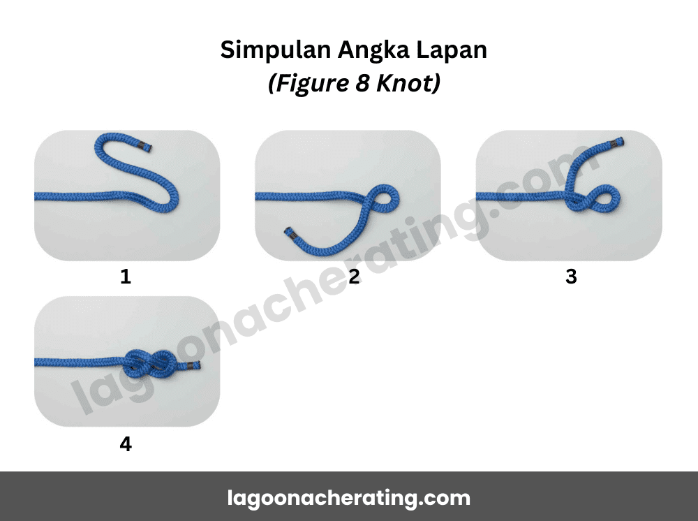 Ikatan Simpulan Asas Badan Unit Beruniform Pengakap Simpulan Angka Lapan (Figure 8 Knot)